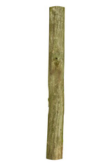 Vertical old wooden pole with natural surface is isolated.