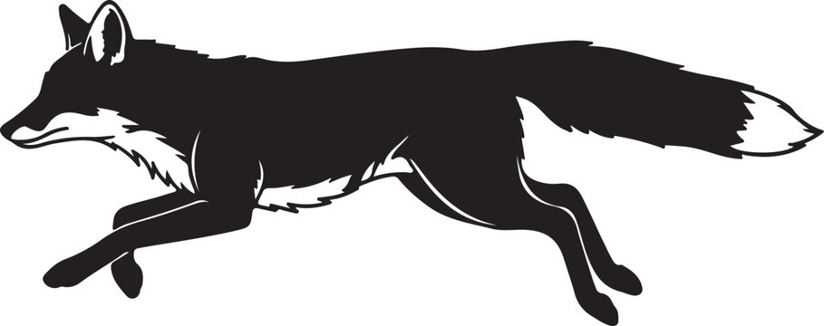 Fox running isolated on white background in black and white style