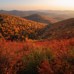 Autumn scenery background image