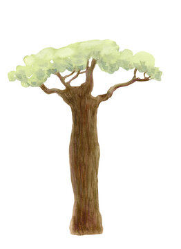 Illustration of hand-darwn watercolor green tree for landscape, elements for environment and garden, nursery decor and childrens books. 