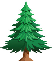 Spruce tree