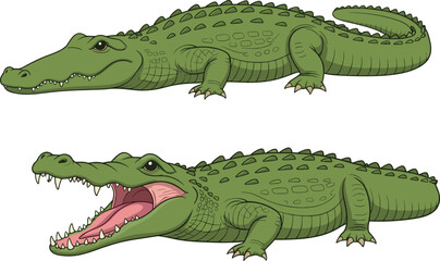 Cartoon crocodile set with calm and aggressive expressions, vector illustration for wildlife behavior and reptile anatomy concept