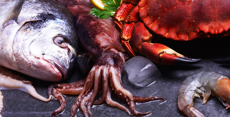 The freshest seafood for every taste