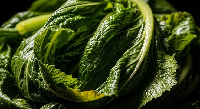 Vibrant Green Leafy Vegetables Displaying Stunning Textures and Lush Structure in Detail