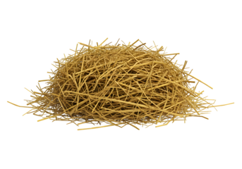 Natural Golden Dry Straw Pile Isolated on White Background, Rustic Material for Farm and Decor