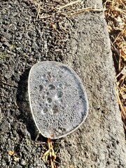 A glasses lens that has fallen out onto the ground and covered in water droplets 