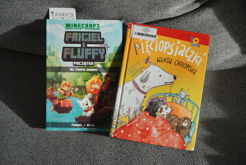 Fototapeta premium Two colorful children's books on a gray surface, perfect for reading