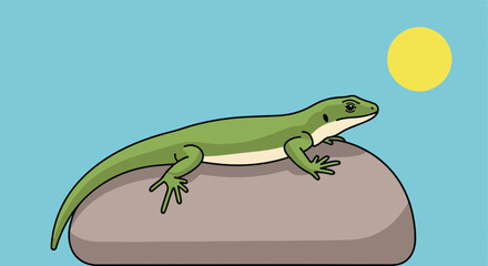 Fototapeta premium Lizard on a rock basking in the sun