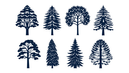 Obraz premium Diversity of Trees: Silhouette of trees represent a variety of arboreal forms, each with unique characteristics. It evokes the quiet strength and enduring presence of the natural world.