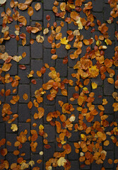 Autumn Leaves on Cobblestone Path, textured autumn background