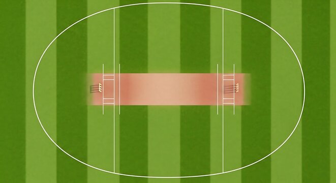 Detailed view of an Australian Rules Football field schematic design