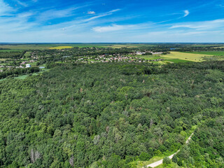 Aerial Landscape of Dense Forest and Rural Fields