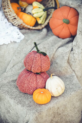 Stuffed handmade pumpkins, made of orange fabrics and yarn, Perfect autumnal decor