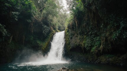 Hidden Waterfall in a Lush Tropical Forest