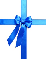 Blue ribbon bow on white background