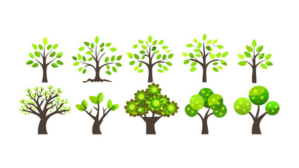 Obraz premium Green Trees Collection: A delightful collection of cartoon trees in different shapes and forms, showcasing the diverse beauty of nature's arboreal wonders.