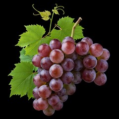 A cluster of green grapes on a black background, showcasing their smooth texture and vibrant color.