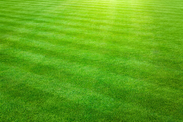 Grass background - Sunny landscape view of a large patch of some freshly cut, healthy, green grass mowed in a checkerboard pattern. © Lawrey
