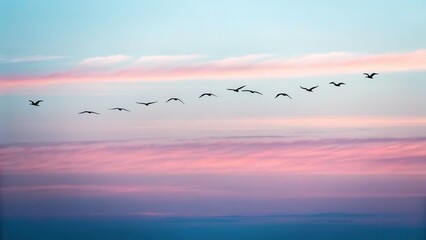 Beautiful flock of birds flying across a colorful sunset sky with pink clouds, creating a peaceful and scenic outdoor landscape scene with natural beauty