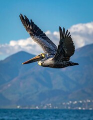 Bird soars in azure sky, wings spread over water and mountain