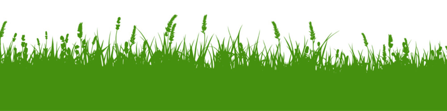 A vector illustration depicting a silhouette of green grass and weeds on transparent background , creating a simple and clean visual. Ideal for backgrounds, banners, or design elements.