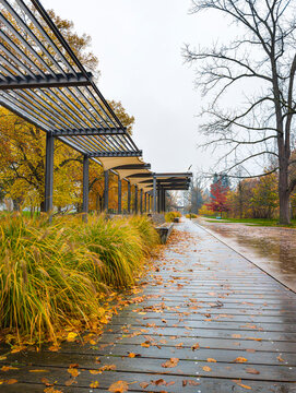 Perspective view of a long metal pergola structure lining a path in a park on an overcast autumn day