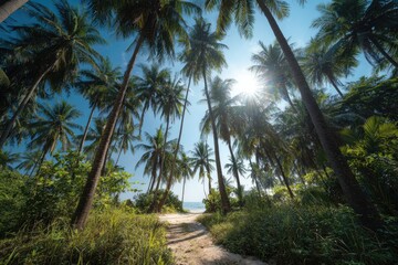 Obraz premium Sunny view up through palm trees to a clear, bright sky, with a path leading to the sea