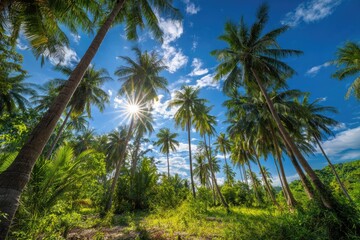 Lush tropical scene featuring tall palm trees against a bright blue sky with the sun shining through