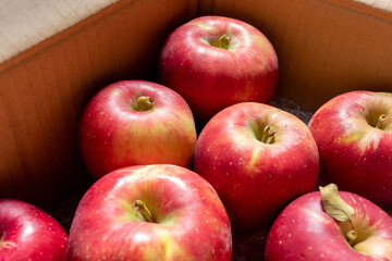 日本の産地直送箱入りリンゴ