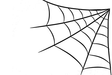 Black Spider Web on White Background