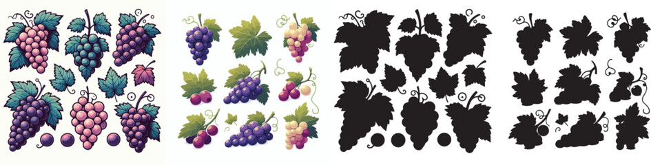 Set of vector and shilhouttes images of grapes on a white background