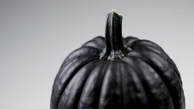 Close-up of a dark, almost black, pumpkin with a stem