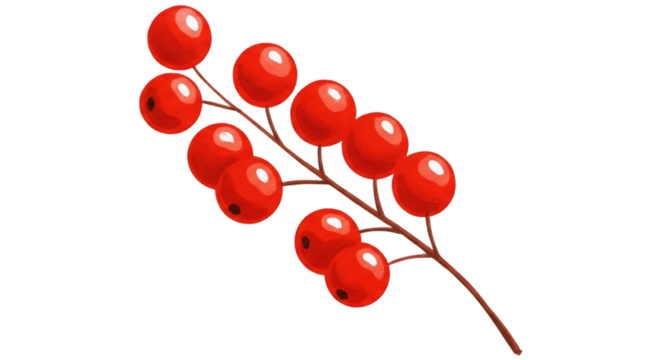 A branch of red berries isolated on transparent background, often associated with winter, christmas, and decorative purposes