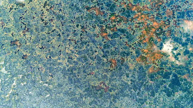 Closeup aerial texture of a swamp lake surface dominated by blue and green hues from algae and water reflections creating an impressionist painting style natural image