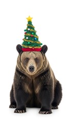 Fototapeta premium bear wearing a Christmas tree hat, holiday animal graphic, on a white background