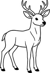 White and black sweety deer silhouette 