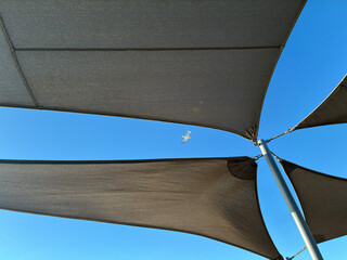 Upward view of black boat canopies forming sail-like shapes against a bright blue sky with a flying seagull.