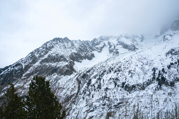 Obraz premium Majestic snow covered alpen peaks with scattered pine trees and foggy sky