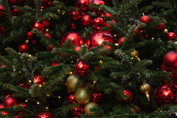 Details decorated Christmas tree with red, golden baubles and garland. Xmas card and pattern. Close up. Winter. Outdoor.