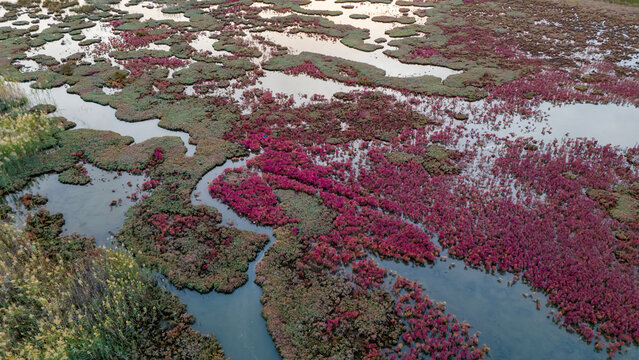 oblique aerial view of a vast wetland landscape with intricate patterns of water and colorful islands of vegetation at sunset time
