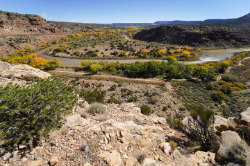 Rio Grande River - New Mexico