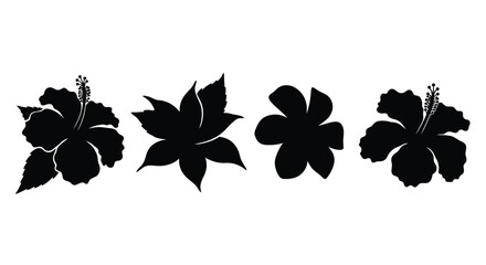 Black hibiscus flower silhouette isolated on white background for decoration