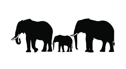Silhouette of an elephant family isolated on white background
