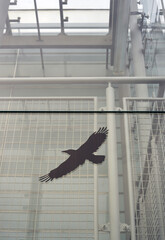 Glass facade and roof with bird protection sticker