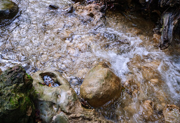 Rushing water foaming around rocks and tree roots in a forest stream capturing the energy and movement of the river current