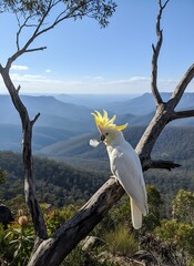 A white cockatoo perched on a branch, overlooking a mountain range