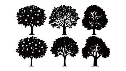 Silhouette Trees: An artistic display of six distinct silhouette trees, showcasing their unique forms and intricate details, ideal for design elements.