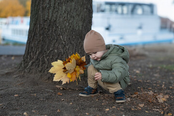 A Young Child Collecting Brightly Colored Autumn Leaves While Sitting on the Ground Near a Large Tree in a Peaceful Outdoor Setting