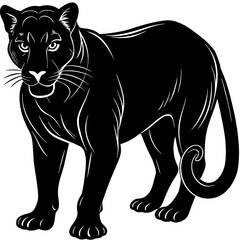 Obraz premium Stylized black panther silhouette with white outline isolated on white background isolated on transparent background