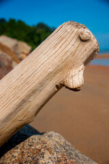 Close-up of weathered wood texture
